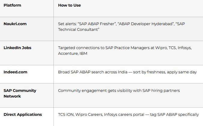 Job Search and Application Strategy