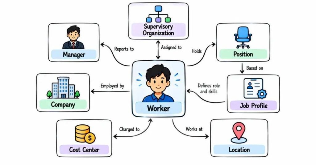 Workday HCM worker organization and job profile structure | flm | frontlines edutech