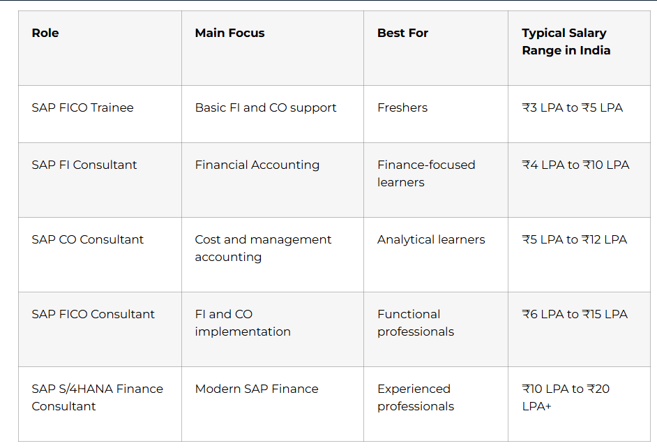 SAP FICO Roles Compared
